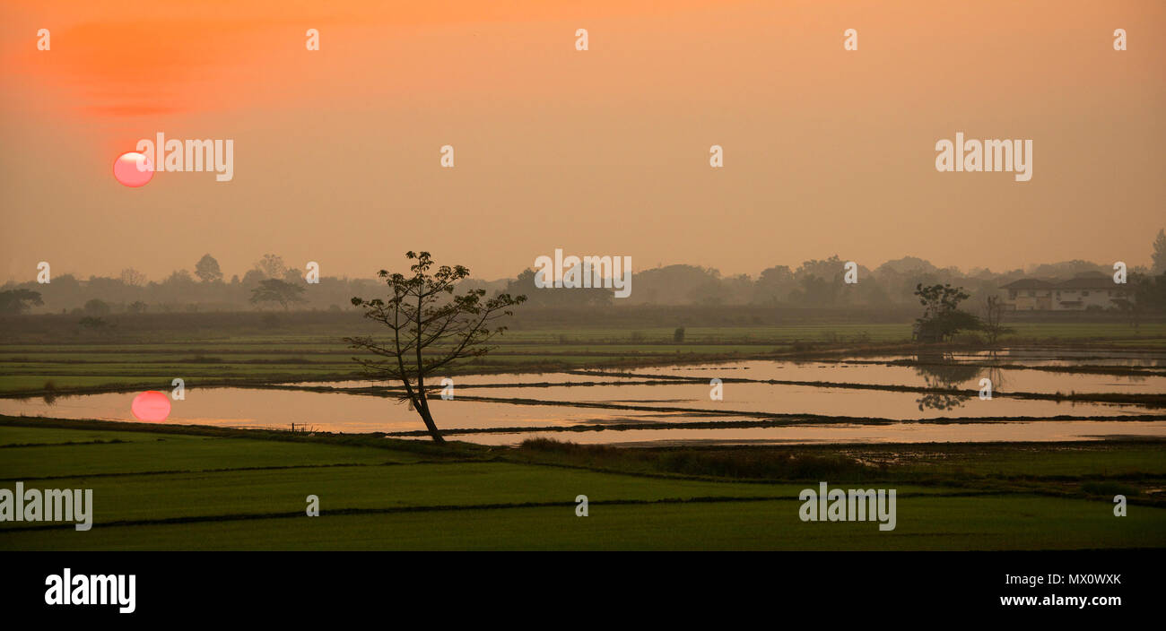 Sonnenaufgang über den Teich mit Reflexion Chiang Mai Nordthailand Stockfoto