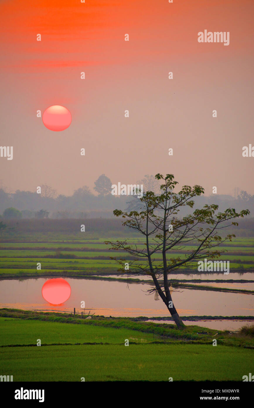 Sonnenaufgang über den Teich mit Reflexion Chiang Mai Nordthailand Stockfoto