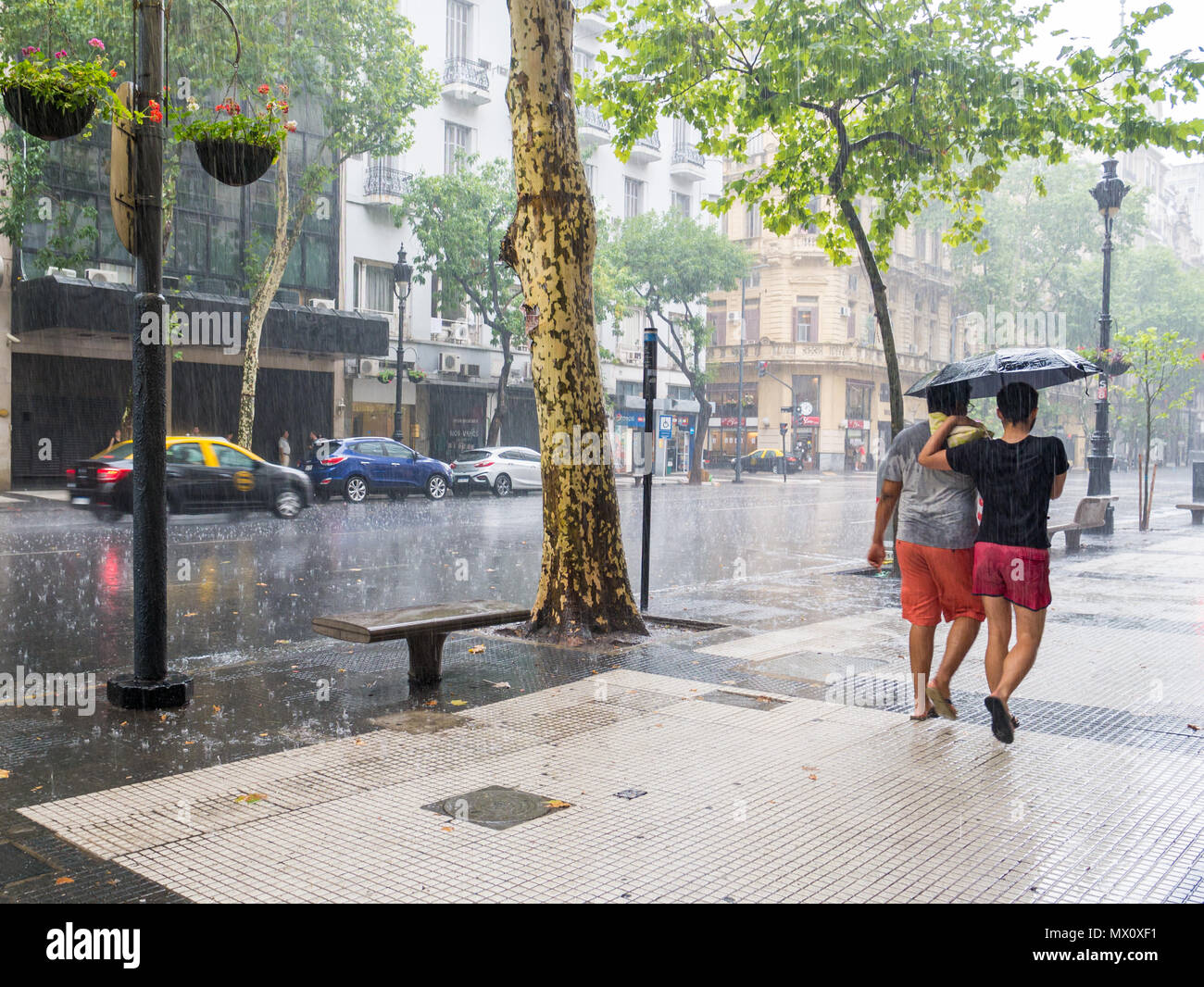 Menschen zu Fuß mit Sonnenschirmen im schweren Regen Sturm auf der Avenida de Mayo im Stadtzentrum Microcentro, Monserrat Bezirk in der Hauptstadt Buenos Aires, Argentinien Stockfoto
