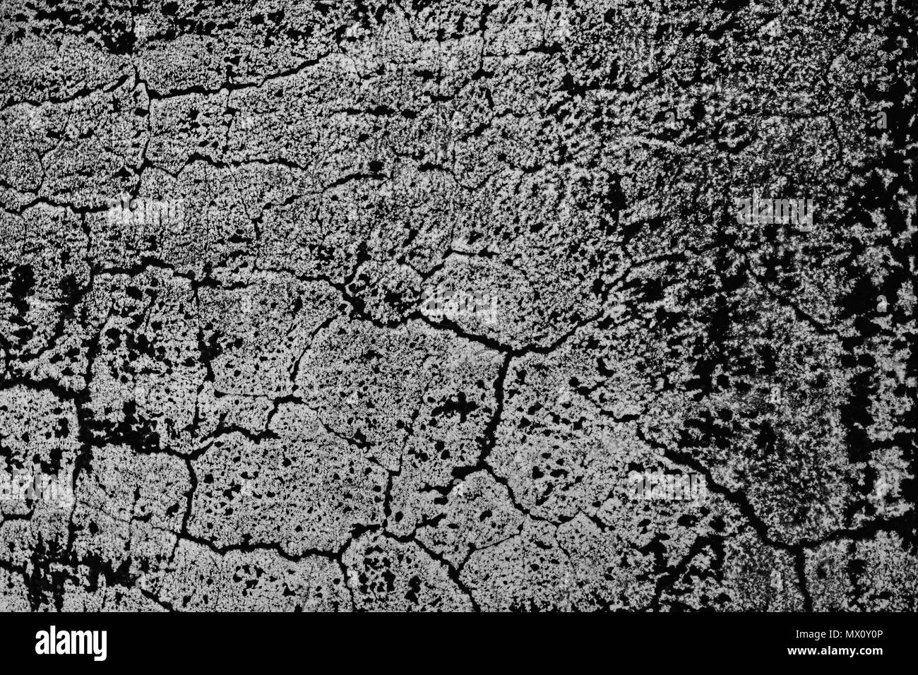 Ich liebte die schmutzigen Grunge Look dieser Wand in Udaipur. Es erinnert mich an eine Antenne Szene. Stockfoto