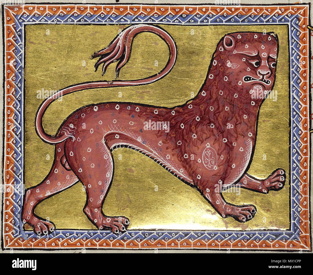. Leopard. Folio 8 verso vom Aberdeen Bestiary. Detail. 12. Jahrhundert 24 AberdeenBestiaryFolio 008 vLeopardDetail Stockfoto