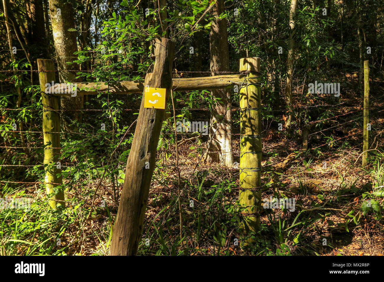 Gelbe Wanderweg Markierungen auf dem goesa Spaziergang in den Tsitsikamma National Park, Garden Route, Kapstadt, Südafrika Stockfoto