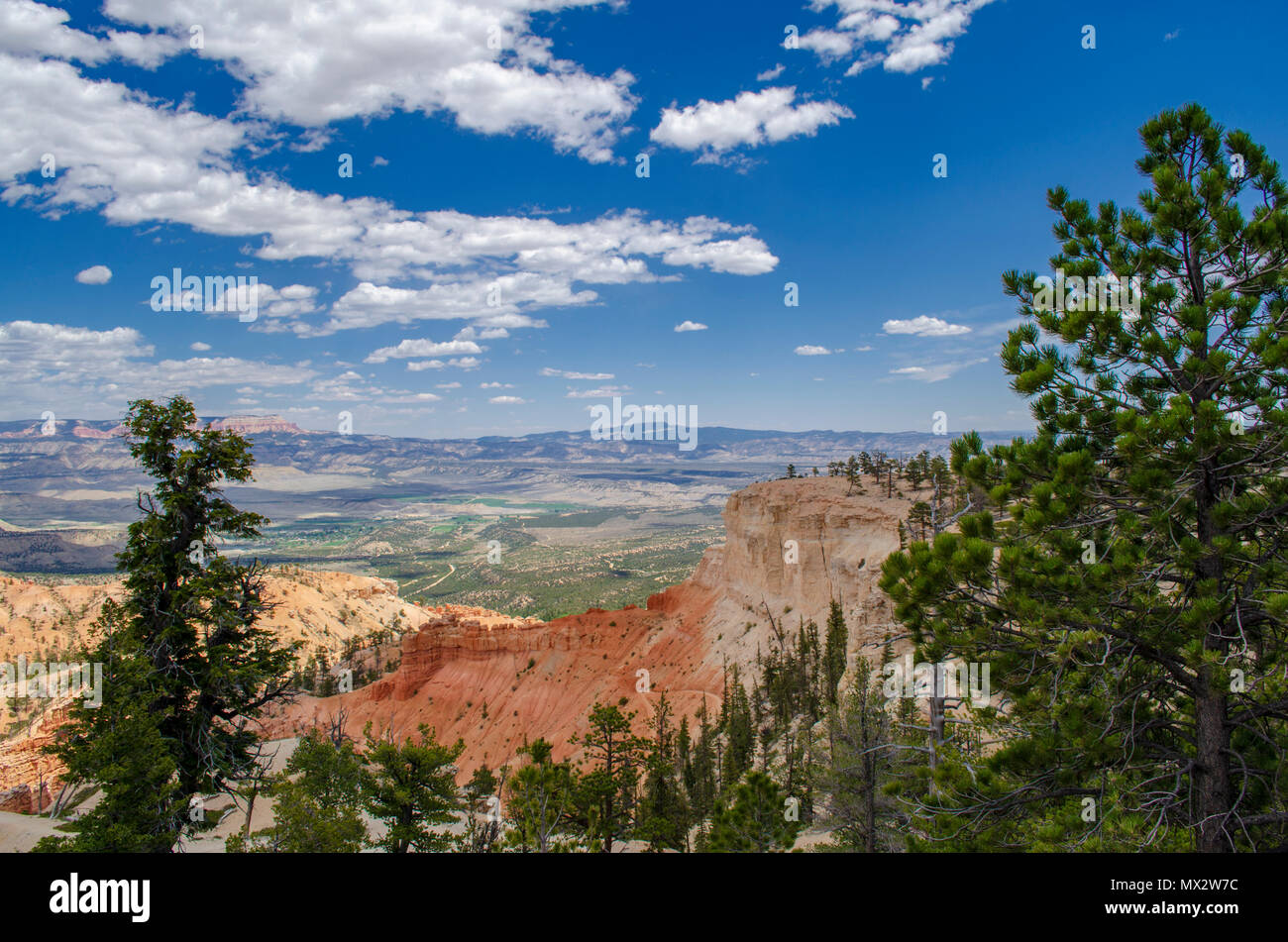 Blick über ein Tal mit hohen, grünen Bäumen, Orange und Weiß Sandstein Felsformationen zu grünen Tal hinaus unter einem blauen Himmel mit weißen Wolken. Stockfoto