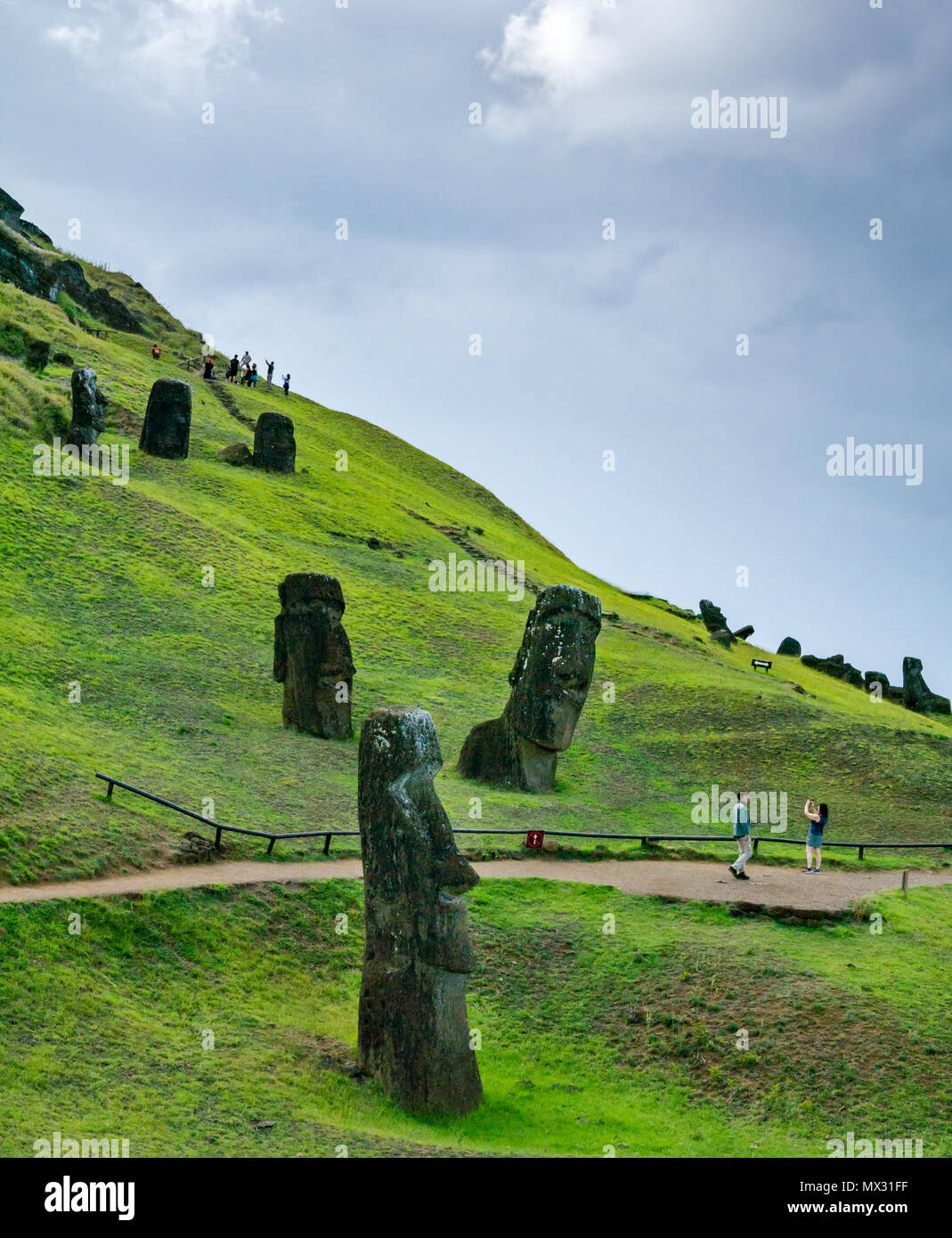 Unfertig und verlassenen Moai Köpfe, Rano Raraku Steinbruch, Osterinsel, Rapa Nui, Chile Stockfoto