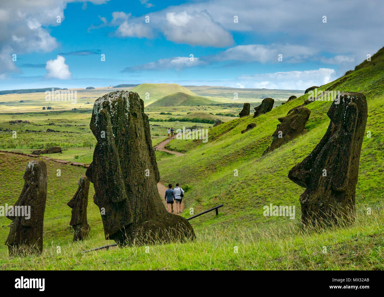 Unfertig und verlassenen Moai Köpfe, Rano Raraku Steinbruch, Osterinsel, Rapa Nui, Chile Stockfoto