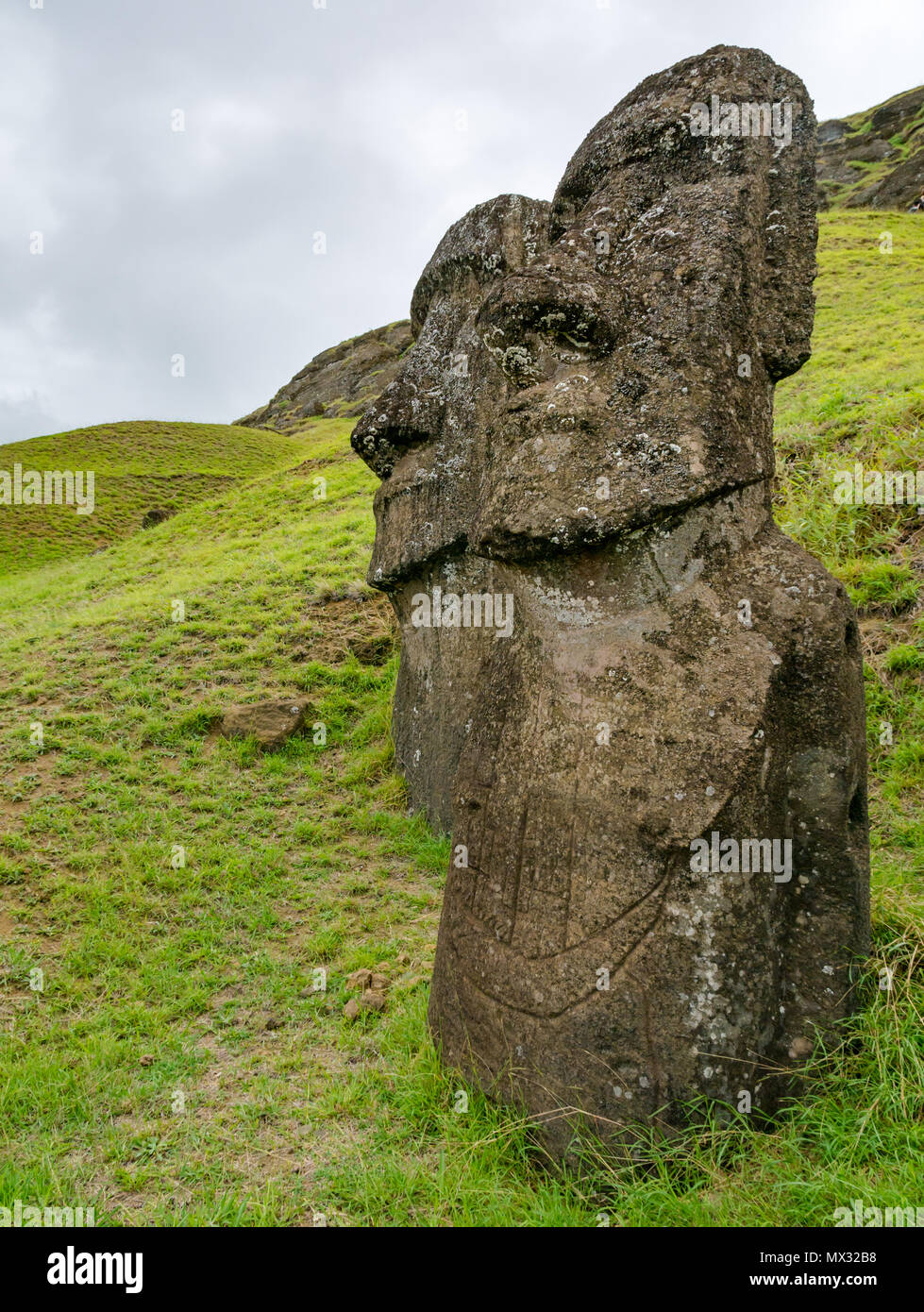 Nahaufnahme des Unfertigen und verlassenen Moai Köpfe, Rano Raraku Steinbruch, Osterinsel, Rapa Nui, Chile Stockfoto