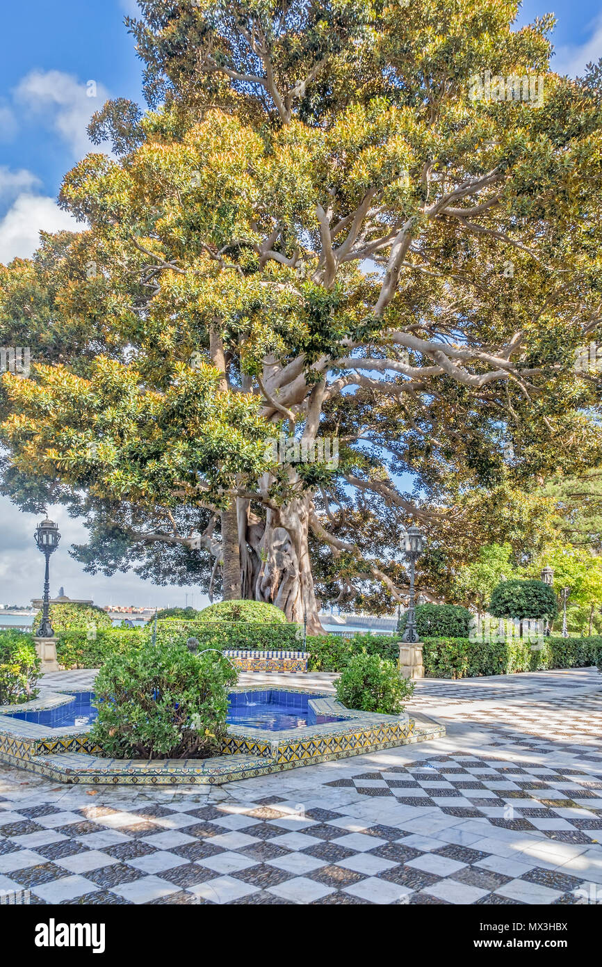 Alameda de Apodaca, Cadiz, Spanien Stockfoto