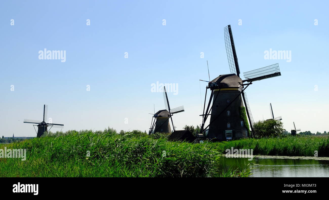 Die wunderbare Windmühlen von Kinderdijk Niederlande. Stockfoto