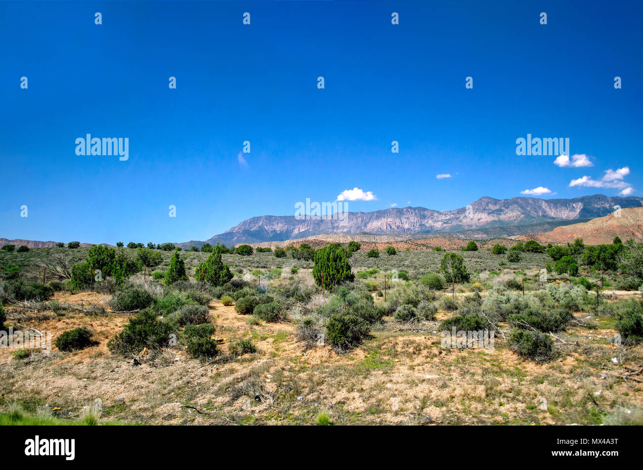 Auf der Suche über eine Wüste Tal mit grünen Bürsten am Berge im Hintergrund unter einem strahlend blauen Himmel mit kleinen weißen Wolken. Stockfoto