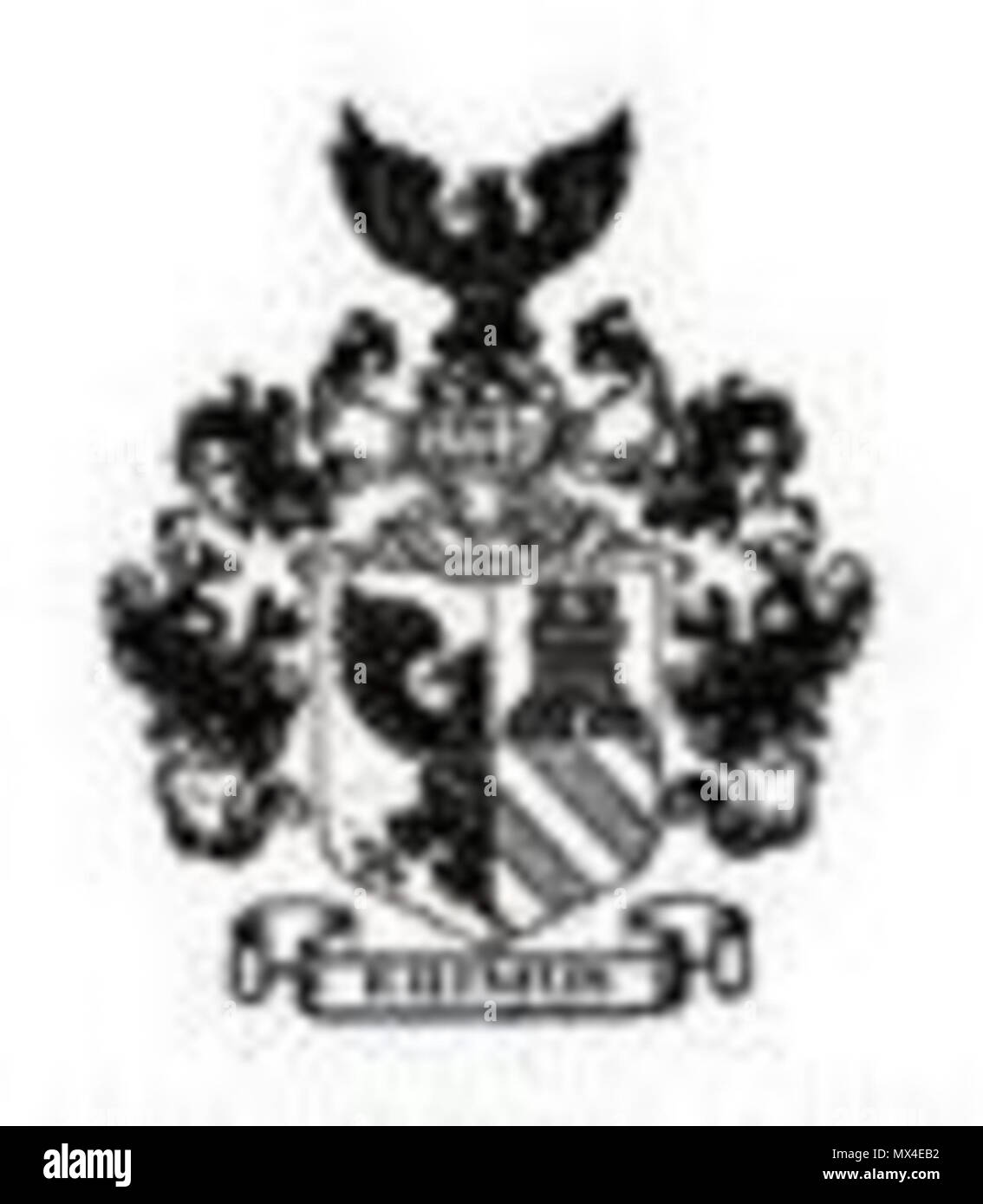 . Englisch: Wappen der Molteno, Südafrika. Habsburger Adler von italienischen Stadt gleichen Namens. 23. Januar 2012. Anonym 57 Wappen der Gemeinde - Südafrika Molteno Stockfoto