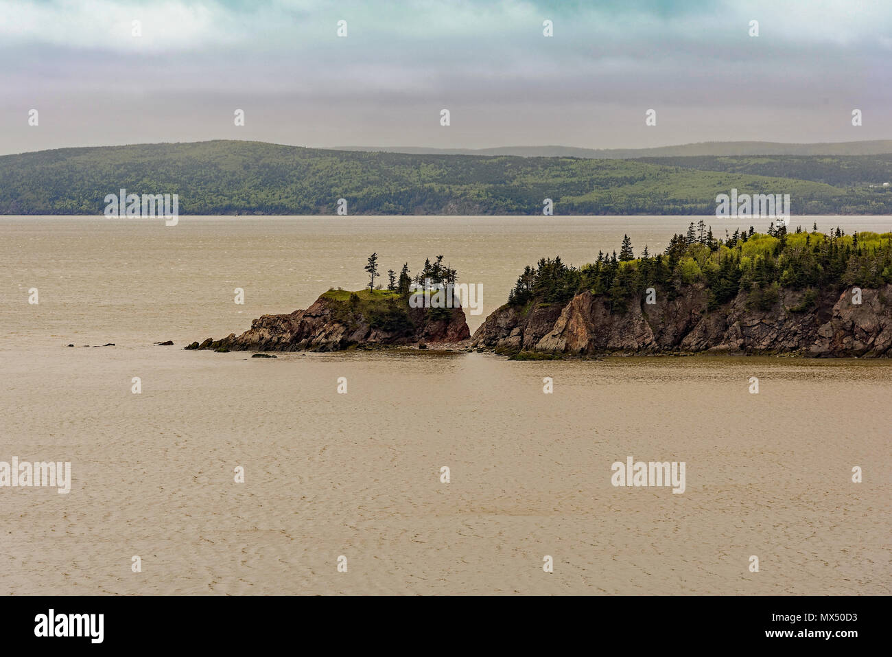 Blick über die Bucht von Fundy von Cape Wutanfall, New Brunswick, Kanada Stockfoto