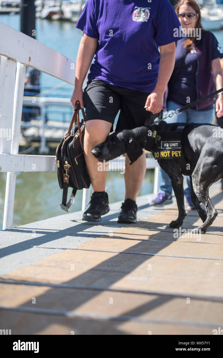 Robert Santiago und seine explosive Detection K-9, Mitglieder des Internationalen Flughafen San Francisco, führen ein Passagier Screening in Berkeley Marina Pier in Berkeley, Calif., Dienstag, 2. Mai 2017. Bund, Länder und Gemeinden Explosive Detection K-9 Mannschaften nahmen an einem gemeinsamen maritime Ausbildung Ereignis, das Gepäck und Fahrzeug Sweeps, Passenger Screening und Boot Einarbeitung enthalten. Coast Guard Petty Officer 2nd class Loumania Stewart Stockfoto