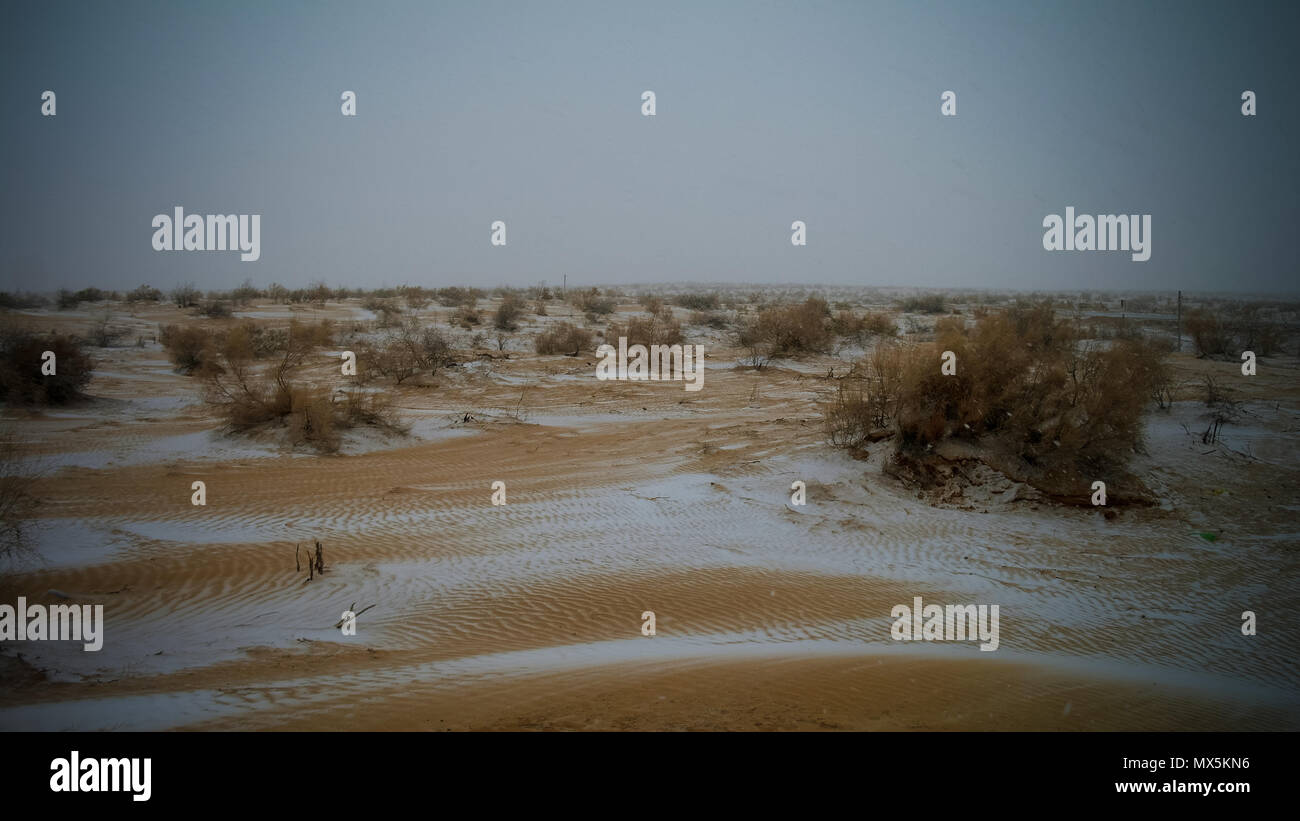 Schnee in der kyzylkum Wüste in Usbekistan Stockfoto