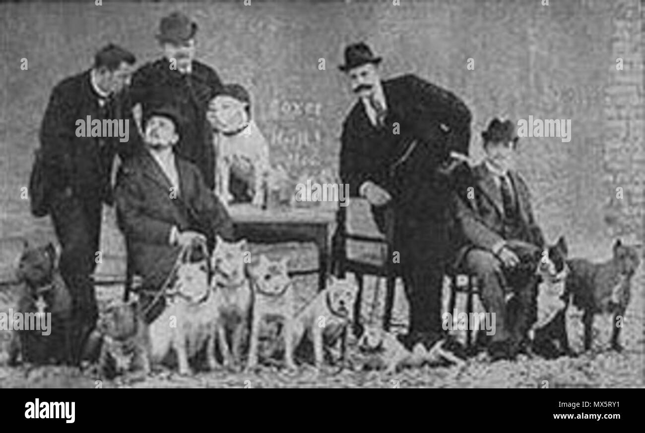 . Español: Grundierung bóxer Club de Alemanía en la Historia del mundo de la Raza con Friedich Robert a la derecha Englisch: Erster bóxer Club aus Deutschland in der Geschichte der Welt Der breeed, mit Friedich Robert nach rechts. 27. Mai 2012. Anonym 95 Boxer - Club-1896 Stockfoto