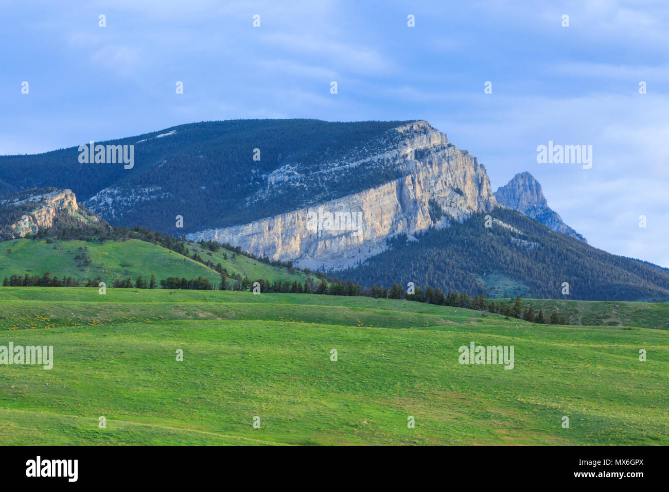 Sägezahn ridge entlang der Rocky Mountain Front in der Nähe von Augusta, Montana Stockfoto