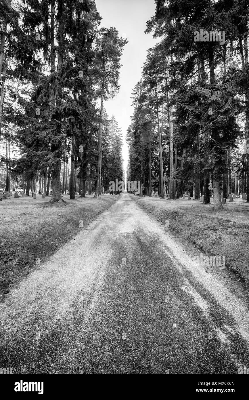 Symbolische Bild der Weg durch den Wald mit grabsteinen unter den Bäumen. Stockfoto