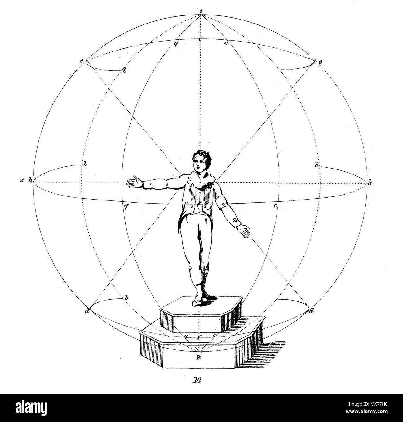 127 Chironomia Kugel Stockfoto