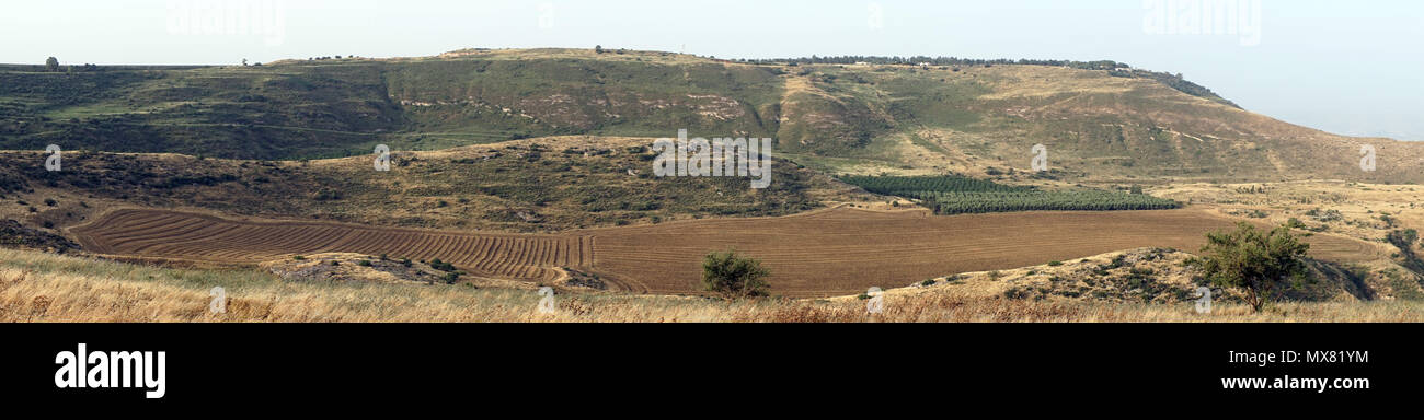 Die Berge in der Nähe von See Genezareth in Galiläa, Israel Stockfoto