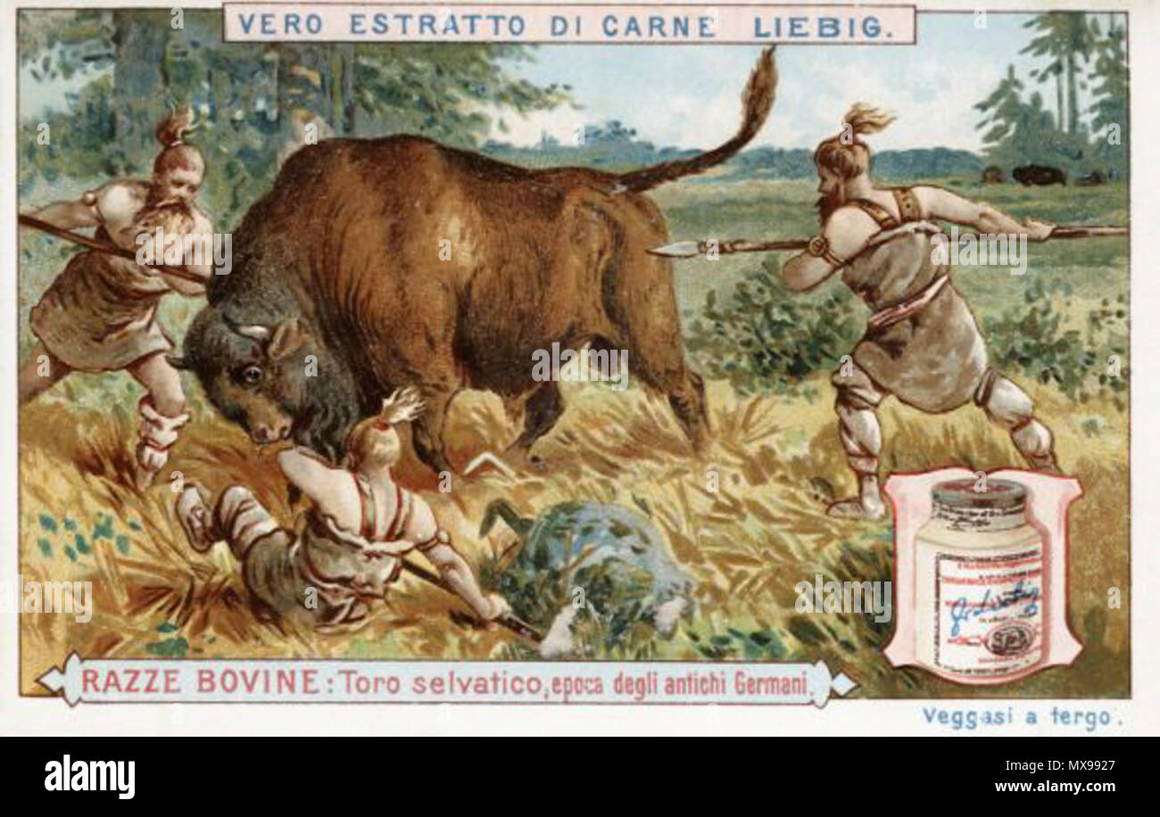 . English: Italienische Werbekarte für Liebig Fleischextrakt, etwa 1900 Englisch: Italienisch Werbung für Liebig Auszug aus Fleisch, ca. 1900 Italiano: Pubblicità italiana dell'estratto di carne Liebig, ca. 1900. ca. 1900. Unbekannt 211 Fleischextrakt 0002774 m Stockfoto