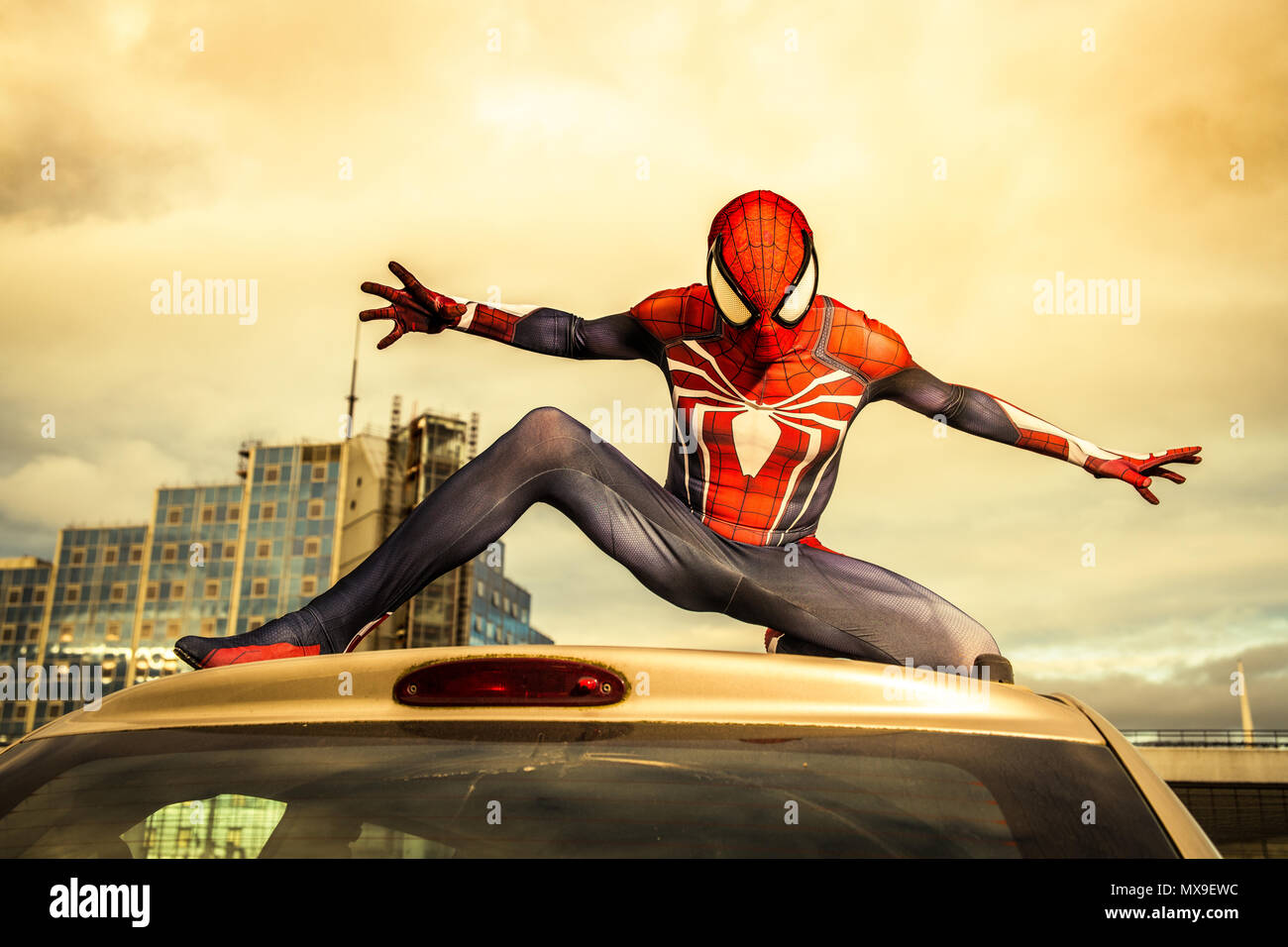 Spiderman Cosplayer in seinem spiderman Anzug. Stockfoto