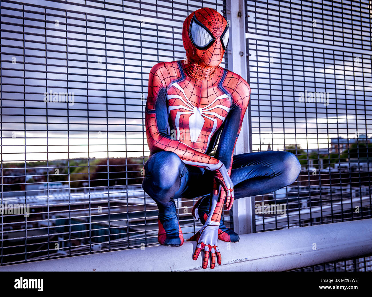 Spiderman Cosplayer in seinem spiderman Anzug. Stockfoto