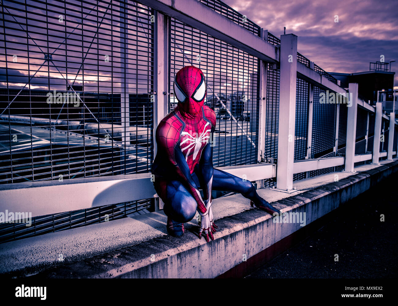 Spiderman Cosplayer in seinem spiderman Anzug. Stockfoto