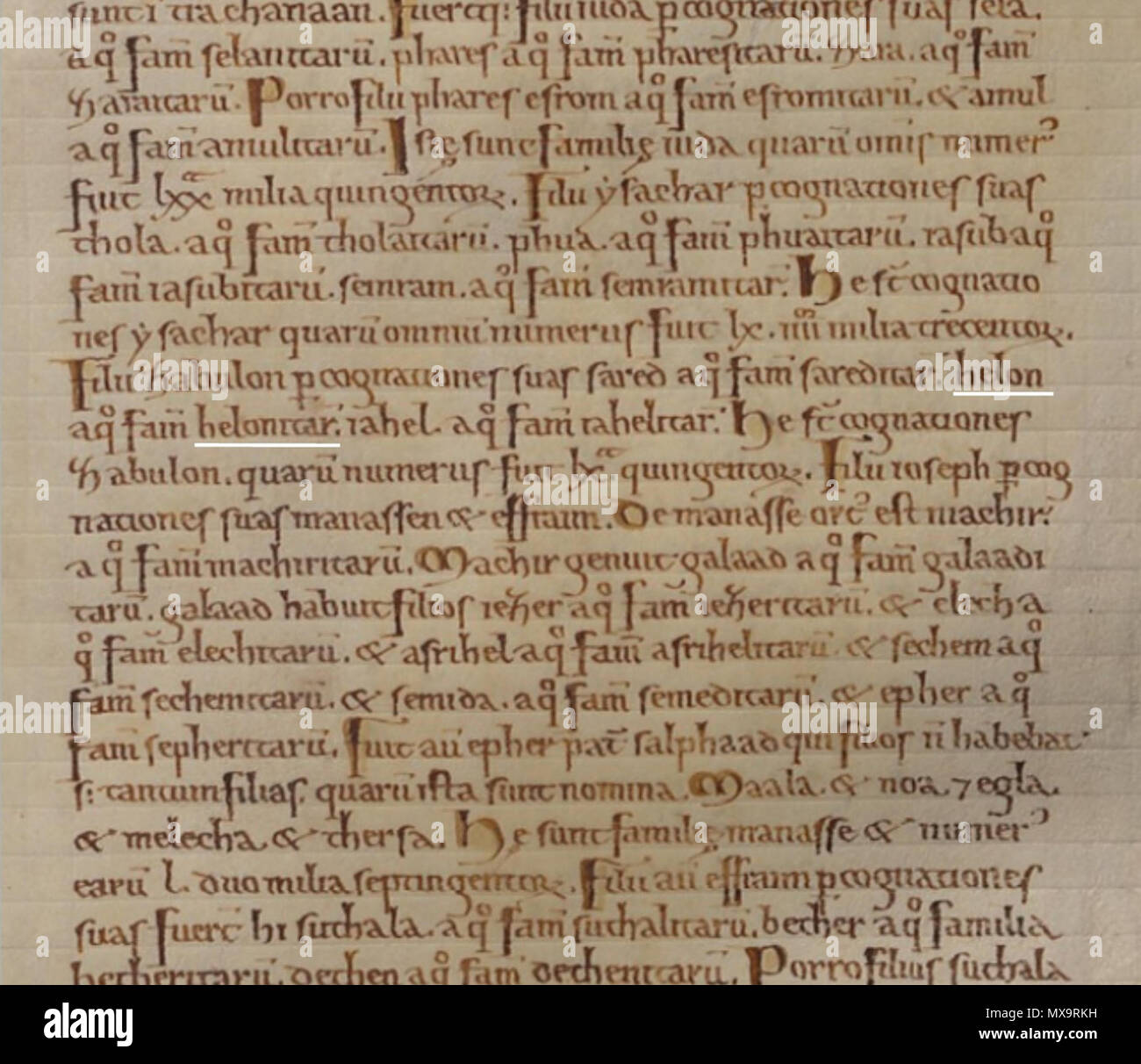Englisch: Fragment von Codex gigas (die riesigen Buchen, oder des Teufels  Bibel); ca. 13. Jahrhundert - ca. 300 Jahre vor der King James Bibel, Altes  Testament, Zahlen 26:26; die Aufzählung der