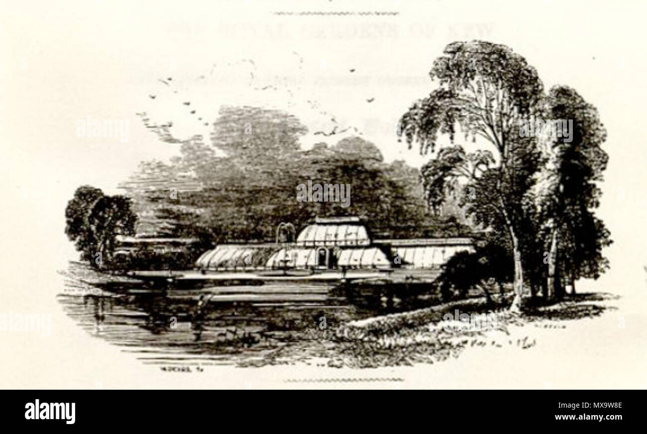 . Band 74 Titel Detail zeigt, was ich vermute ist Kew Gardens. Auch als Serie 3, Vol.4 bekannt. TBA 594 Der Botanische Magazine-Vol 74 Titel (Detail) Stockfoto