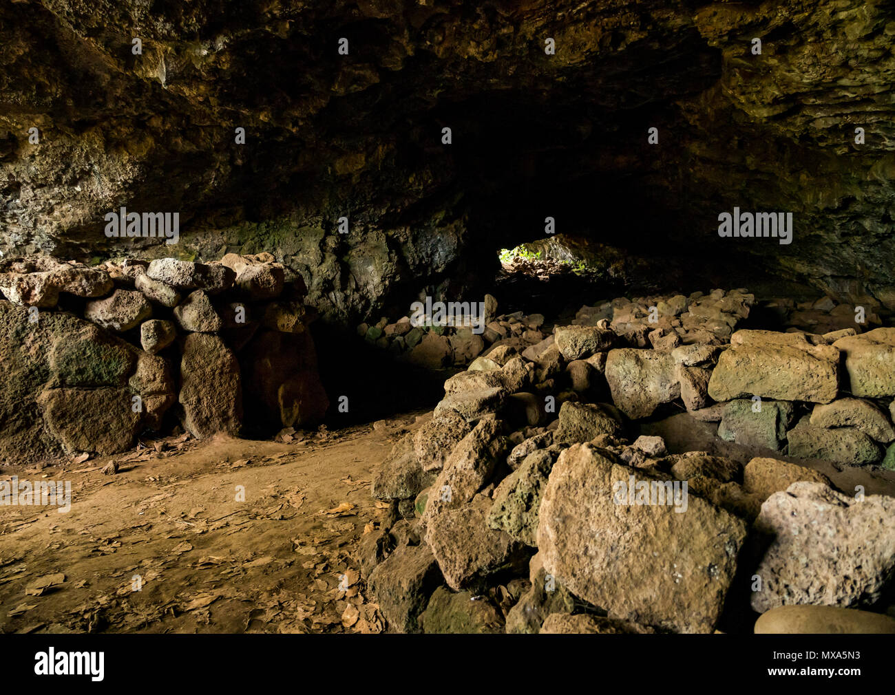 Ana Te Pahu Lavaröhrenhöhle, Osterinsel, Rapa Nui, Chile, mit Manavai Steinkreisen für den Anbau von Produkten, die von alten Menschen als Wohnstätte verwendet werden Stockfoto