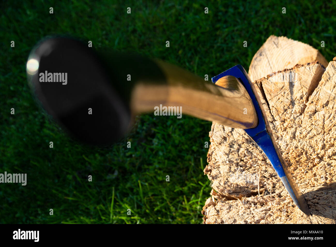 Ax gehaftet in einem Stamm. Blau ax hautnah. Holz arbeiten Konzept. Stockfoto
