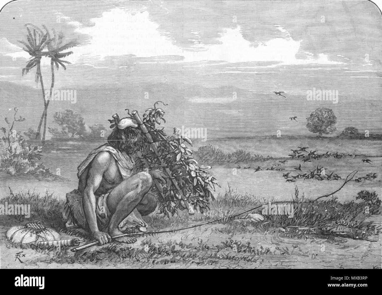 . Deutsch: "Indische Bird-catcher", aus der Grafik, 1875 Quelle: ebay, Okt. 2009. 1875. Die Grafik 296 indischen Bird-catcher Stockfoto