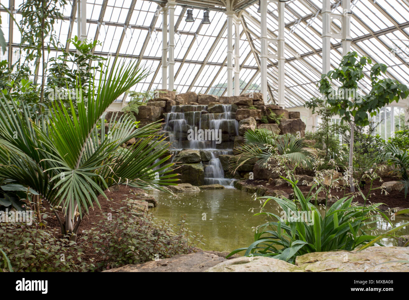 Erneutes Öffnen drücken Sie die Taste Vorschau von der Kew Garden gemäßigt Haus. Modernisierung und Restauration abgeschlossen sind, wird es für die Öffentlichkeit am 5. Mai 2018 erneut. Die denkmalgeschützten Gebäude ist die größte viktorianischen Gewächshaus in der Welt, und die doppelte Größe des Palm House. Es beherbergt eine international bedeutende Sammlung der gemäßigten Zone Pflanzen, darunter einige der seltensten und bedrohtesten. Mit: Atmosphäre, Wo: London, England, Großbritannien Wann: 03. Mai 2018 Credit: Wheatley/WANN Stockfoto