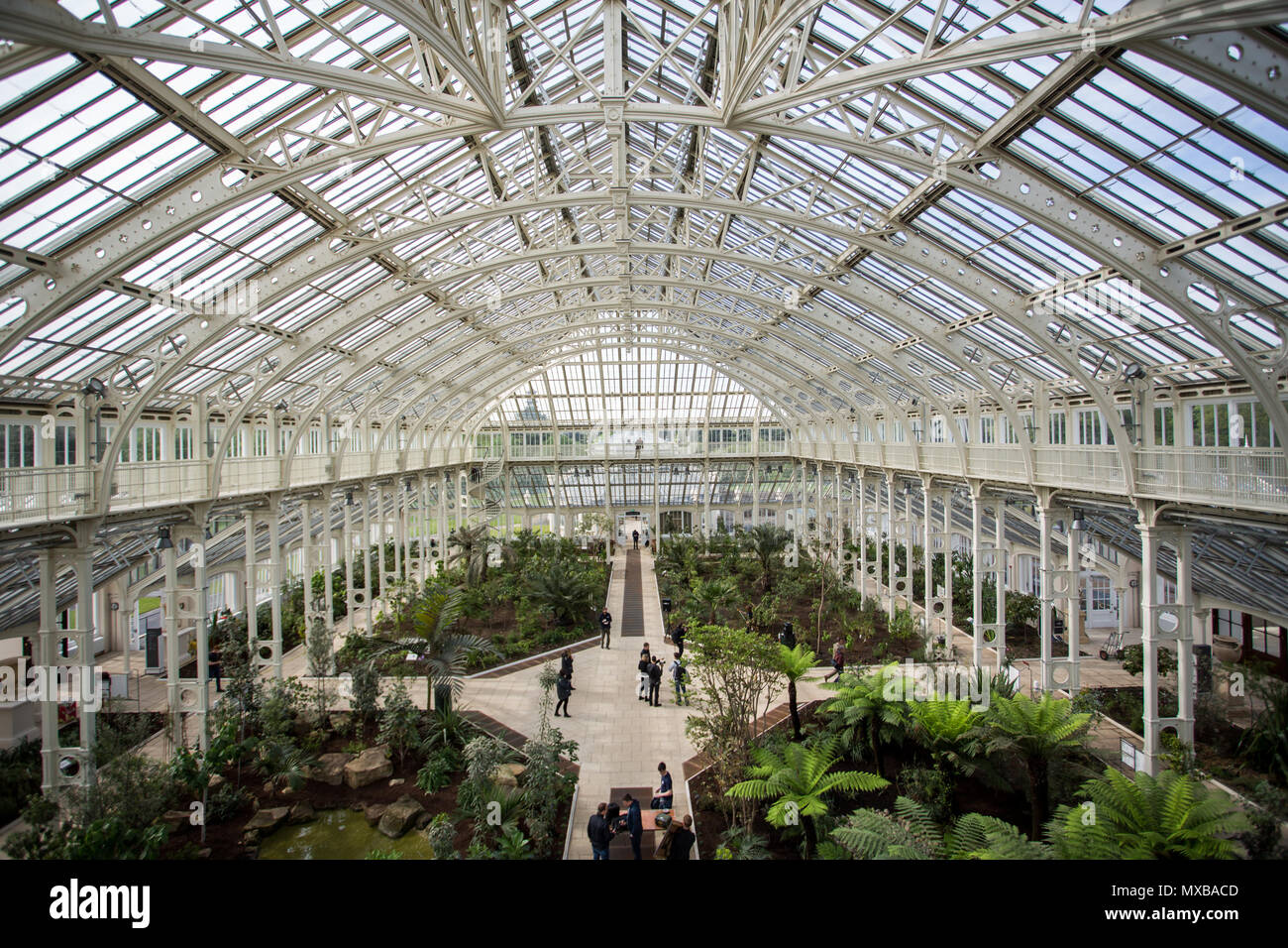 Erneutes Öffnen drücken Sie die Taste Vorschau von der Kew Garden gemäßigt Haus. Modernisierung und Restauration abgeschlossen sind, wird es für die Öffentlichkeit am 5. Mai 2018 erneut. Die denkmalgeschützten Gebäude ist die größte viktorianischen Gewächshaus in der Welt, und die doppelte Größe des Palm House. Es beherbergt eine international bedeutende Sammlung der gemäßigten Zone Pflanzen, darunter einige der seltensten und bedrohtesten. Mit: Atmosphäre, Wo: London, England, Großbritannien Wann: 03. Mai 2018 Credit: Wheatley/WANN Stockfoto