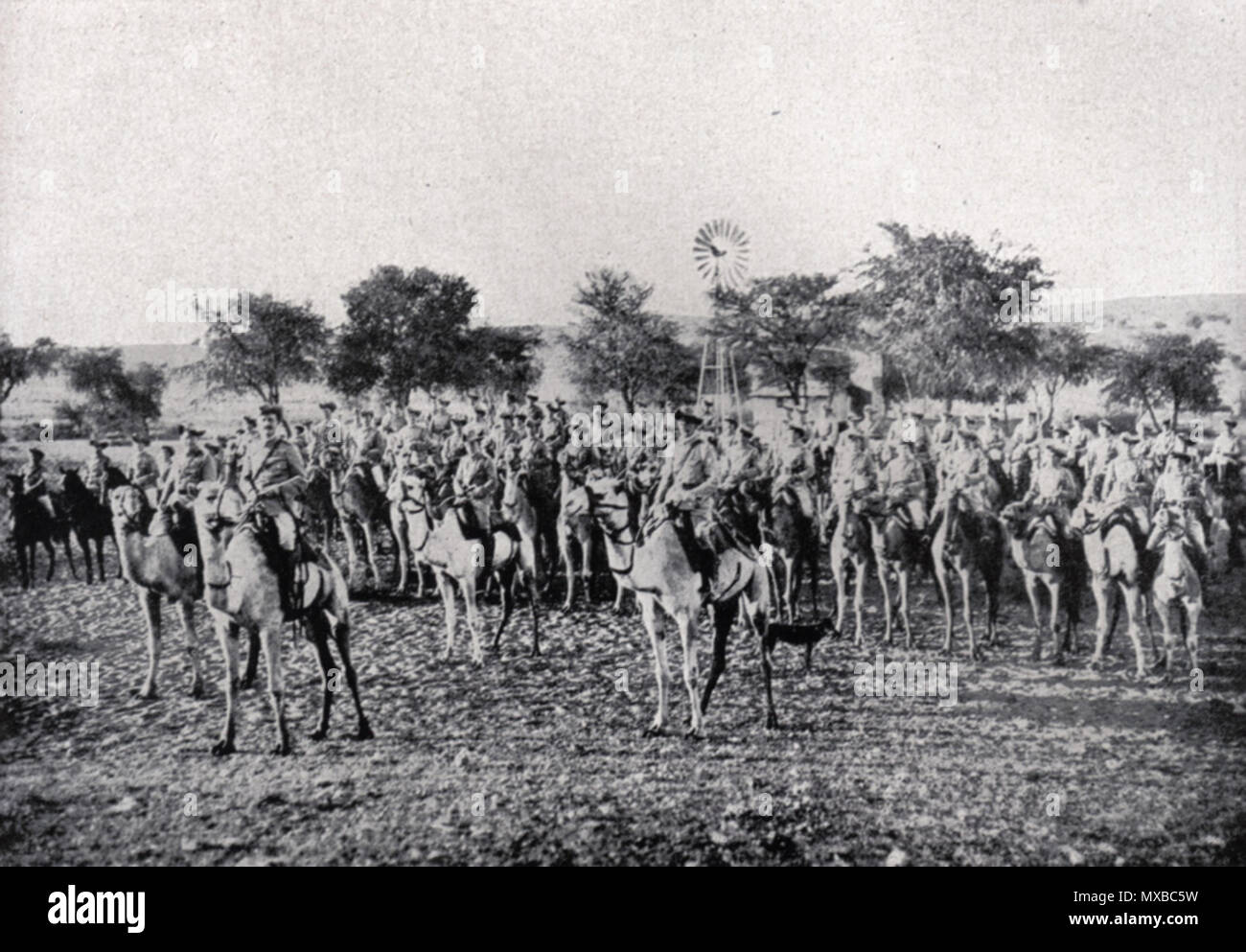 . Kamelreiter Kompanie der deutschen Schutztruppe in Deutsch-Südwestafrika 1904/1905. Diese Datei fehlt, Informationen zum Autor. 334 Kamelreiter Kompanie 1905 Stockfoto