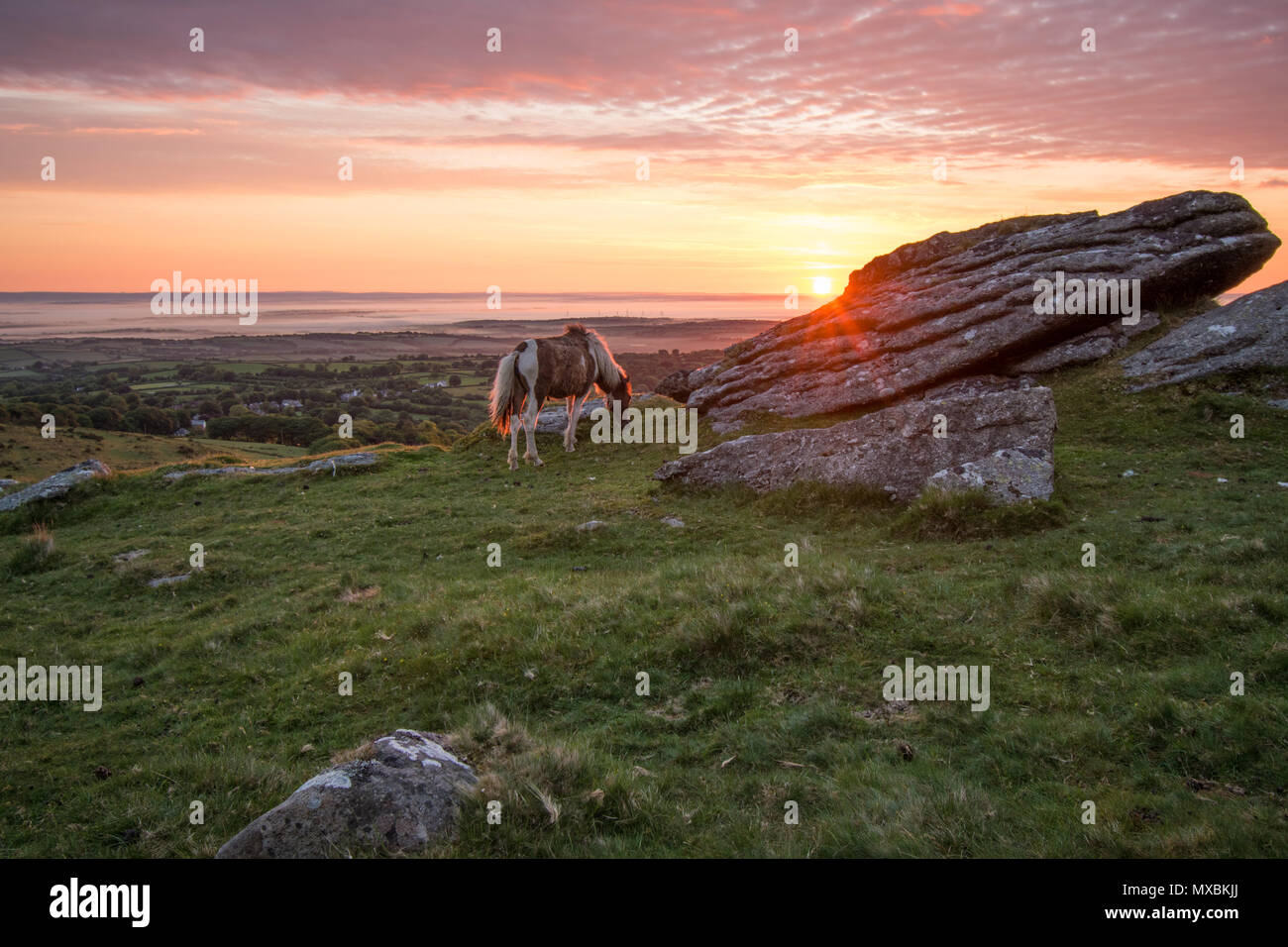 Einen schönen Sonntag morgen Juni Sonnenaufgang über dem Dorf Belstone in Dartmoor Stockfoto