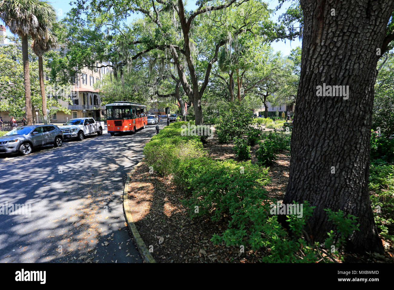 Altstadt Trolley car Tour in der Stadt Savannah, USA Stockfotografie Alamy