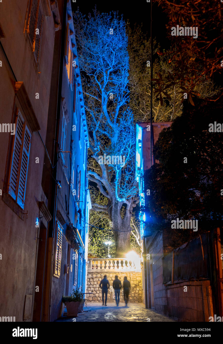 Drei Menschen zu Fuß u Ulica Svetog Đurđa nachts mit beleuchteten Bäume in der Nähe der Altstadt von Dubrovnik, Kroatien. Stockfoto