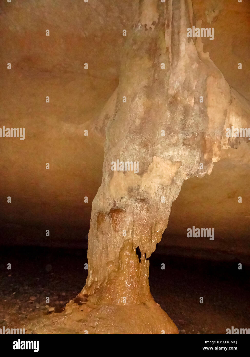 Detail einer Höhle im Blue Hole National Park in Belize im Mittelamerika Stockfoto