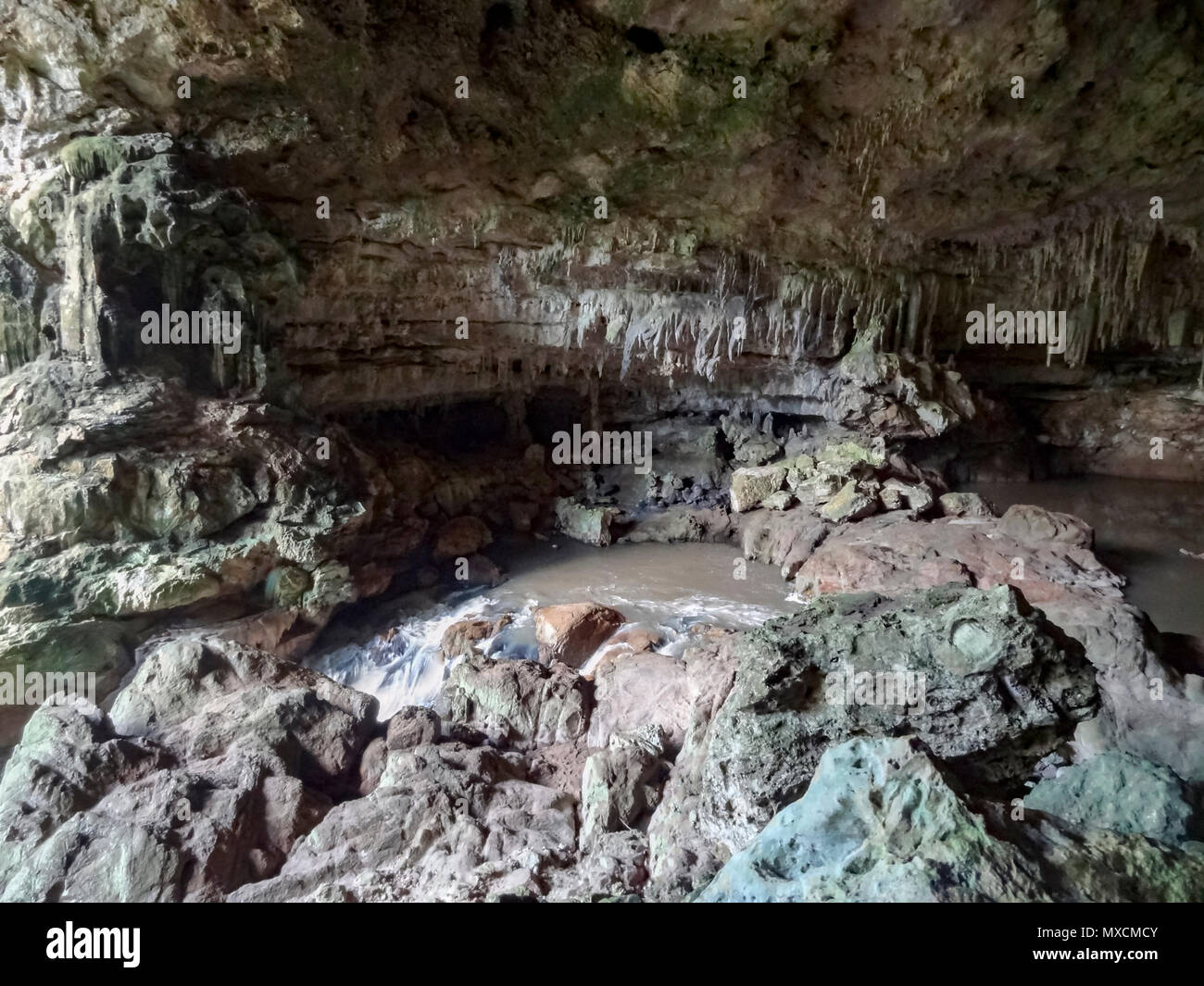 Eingang Areal einer Höhle im Blue Hole National Park in Belize im Mittelamerika Stockfoto