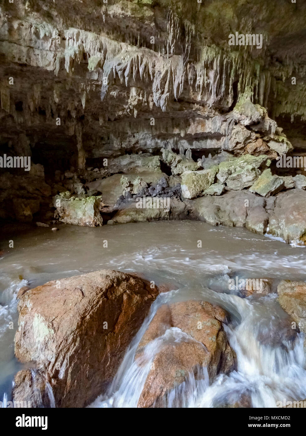 Eingang Areal einer Höhle im Blue Hole National Park in Belize im Mittelamerika Stockfoto
