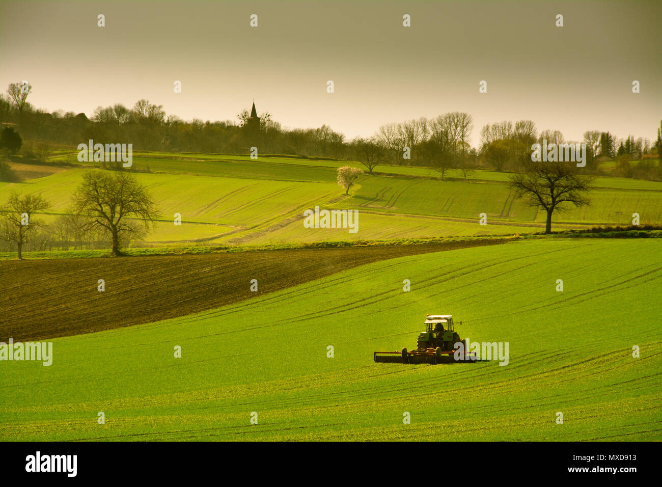 Den Traktor in einer Kulturlandschaft, Limagne Plain, Puy de Dome, der Auvergne. Frankreich Stockfoto