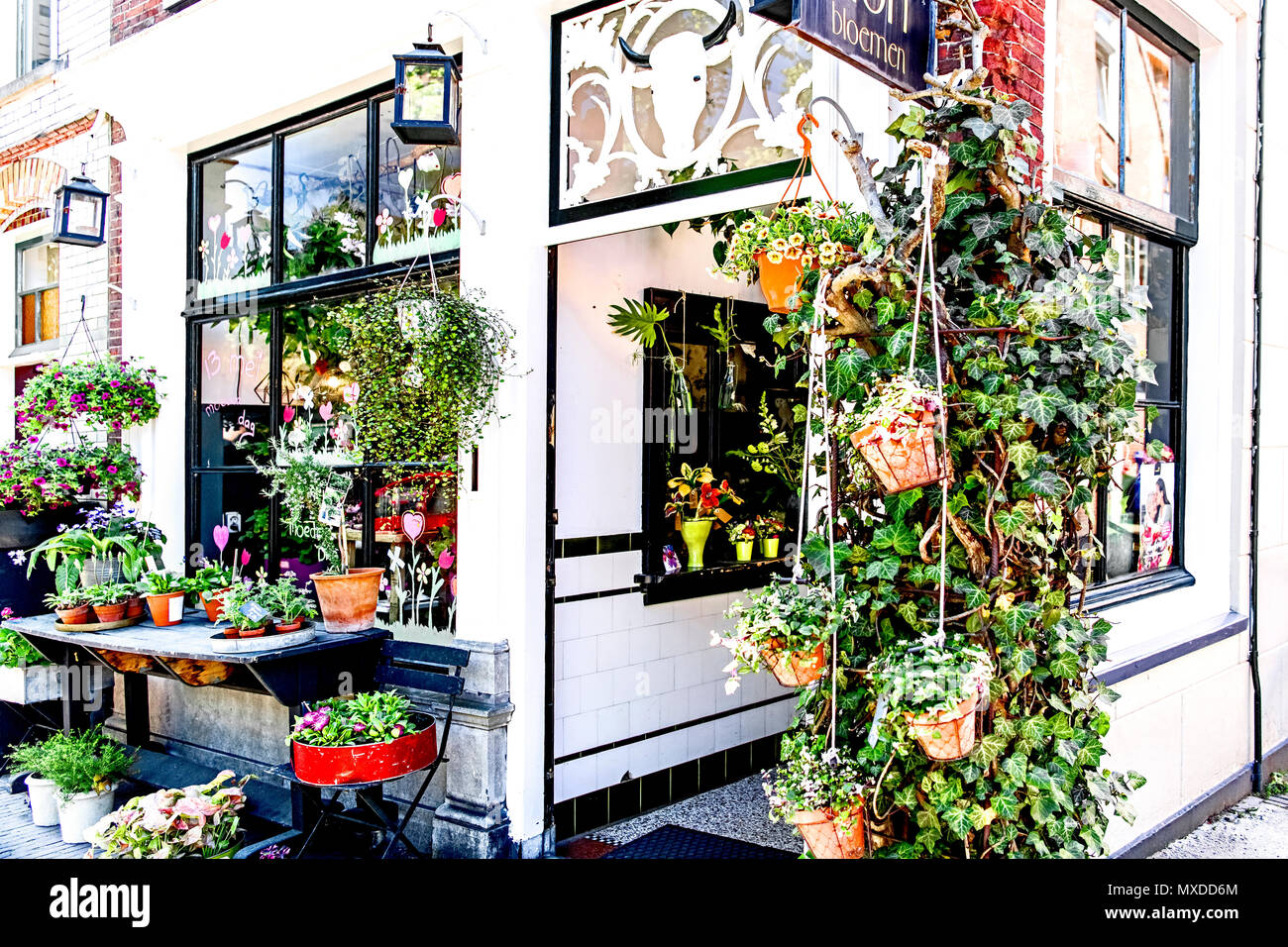 Leiden (South Holland, Niederlande): Flower Shop; Leiden (Südholland, Niederlande): Blumengeschäft Stockfoto