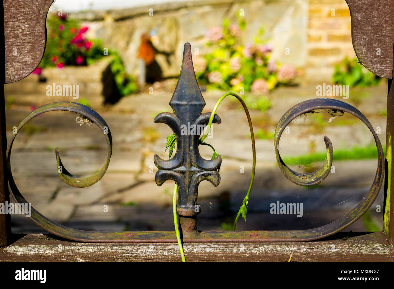 Grüne Pflanze wächst um ein verwittertes Metall Ornament, die zu einem Zaun oder Tor draußen vor einem Steinplatten gepflasterten Innenhof mit Pflanzen Stockfoto