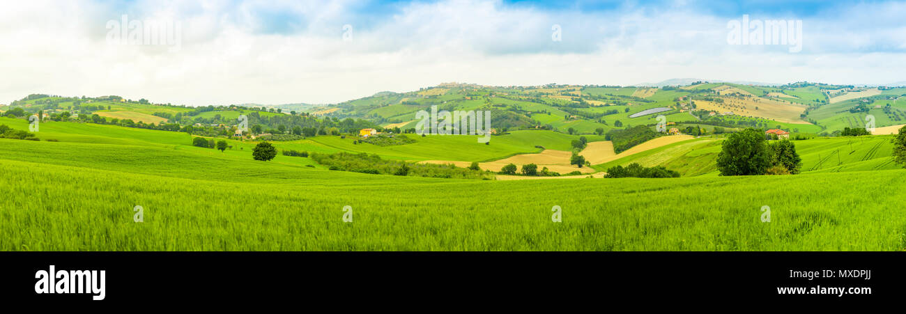 Panorama der Landschaft im Sommer Felder in der italienischen Provinz Ancona in Italien Stockfoto