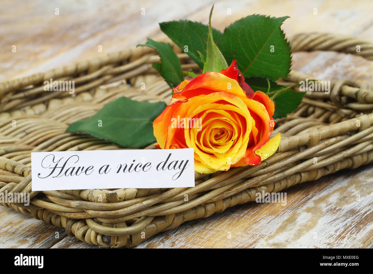 Einen schönen Tag noch Karte mit bunten Rose auf wicker Fach Stockfoto