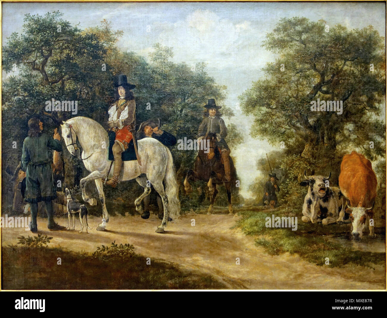 372 Lille PdBA Camphuysen Chasse Stockfoto