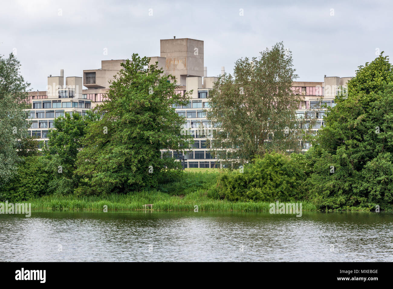 Blick auf den See und dem Campus der Universität von East Anglia uea Norwich Stockfoto