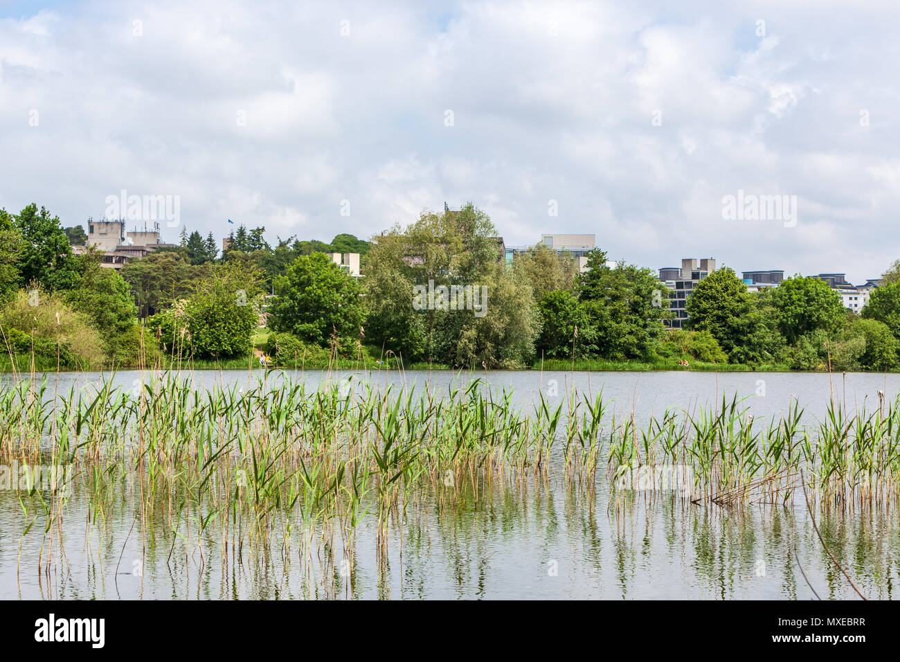 Blick auf den See und dem Campus der Universität von East Anglia uea Norwich Stockfoto