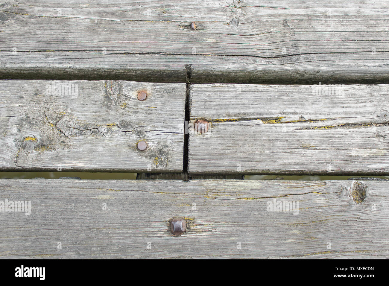 Holzbrett mit rostigen Nägeln in sie gehämmert Stockfoto