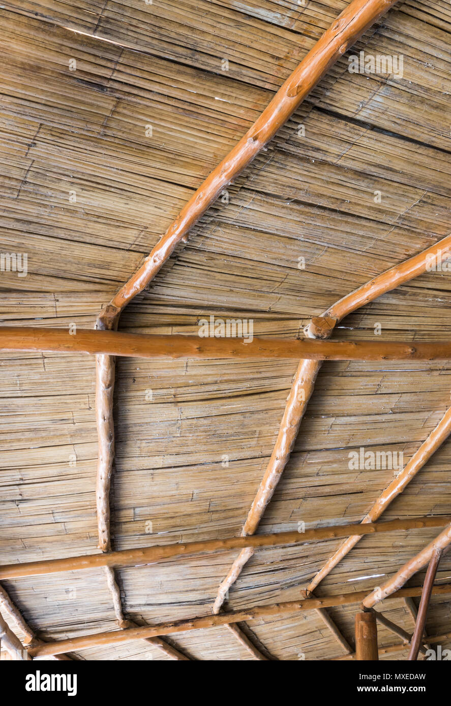Bambus Dach der hölzernen Pavillon im Nationalpark Büro, wo im Wald. Stockfoto